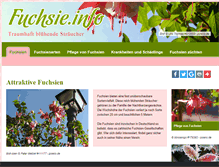 Tablet Screenshot of fuchsie.info